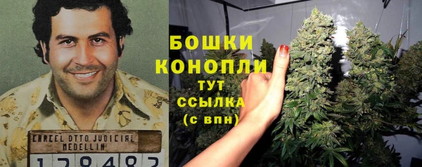 стафф Карталы