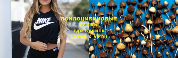 дурь Костерёво