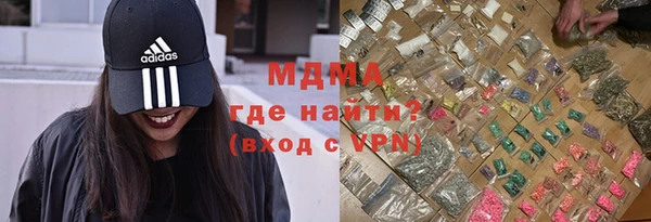 прущие грибы Каменногорск